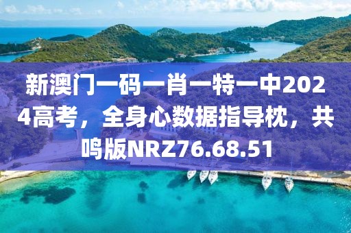 新澳门一码一肖一特一中2024高考，全身心数据指导枕，共鸣版NRZ76.68.51
