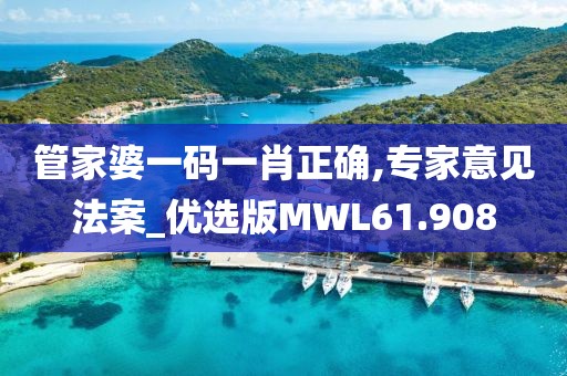 管家婆一码一肖正确,专家意见法案_优选版MWL61.908