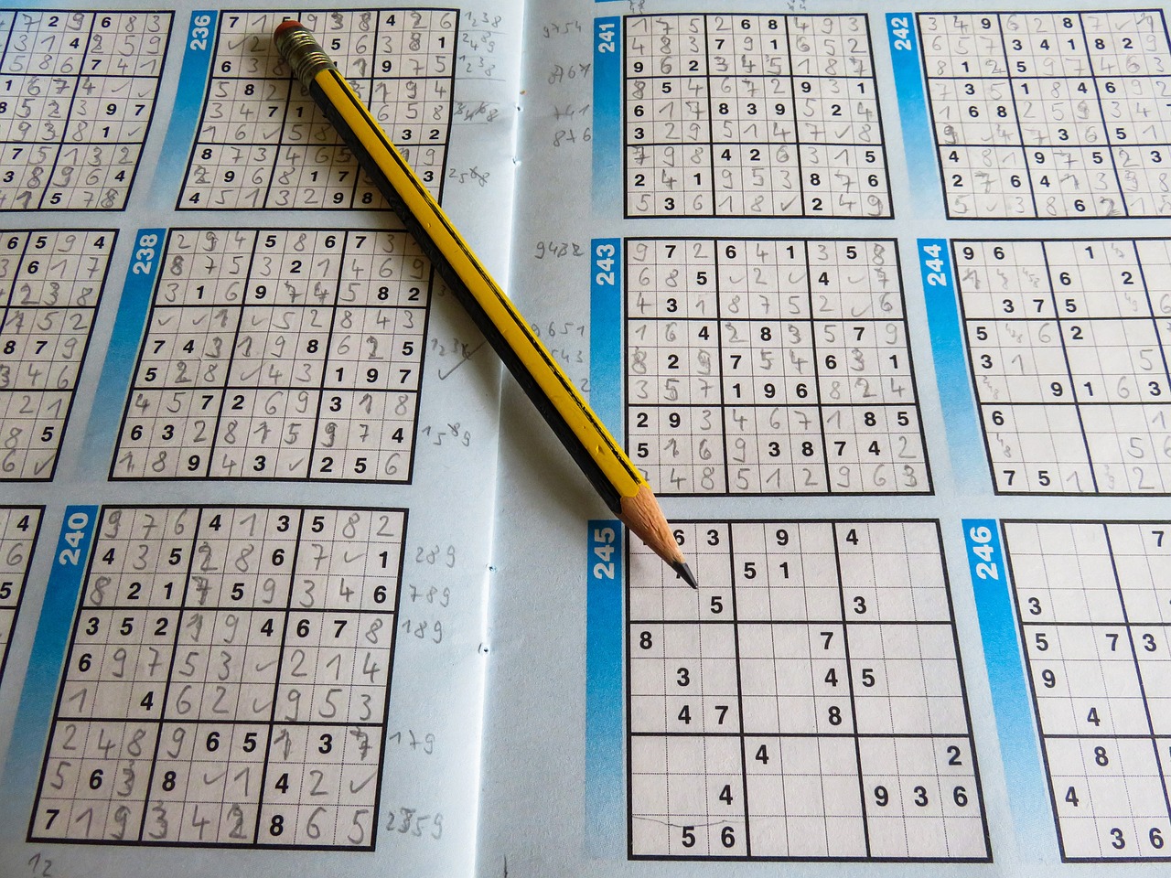 2024新澳精准资料免费提供下载,快速问题解答_运动版PGM11.907