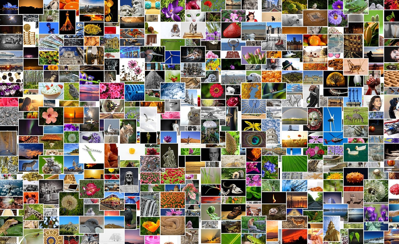 2024天天彩正版资料大全，专业解读方案实施_稳健版GY699.4883